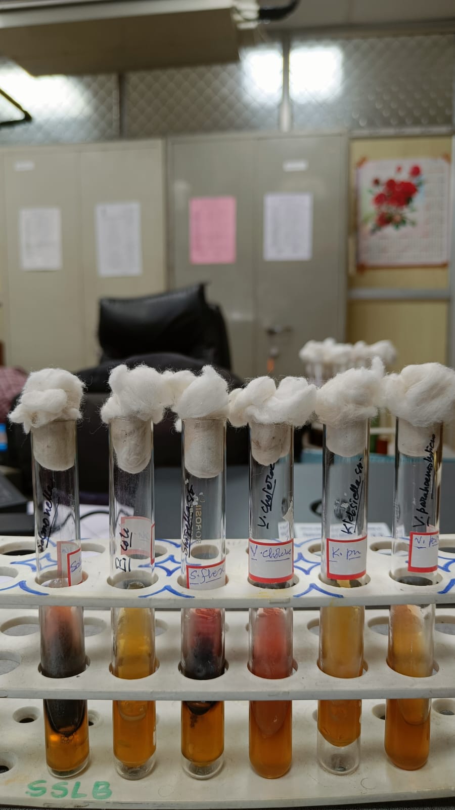 Microbiology Department